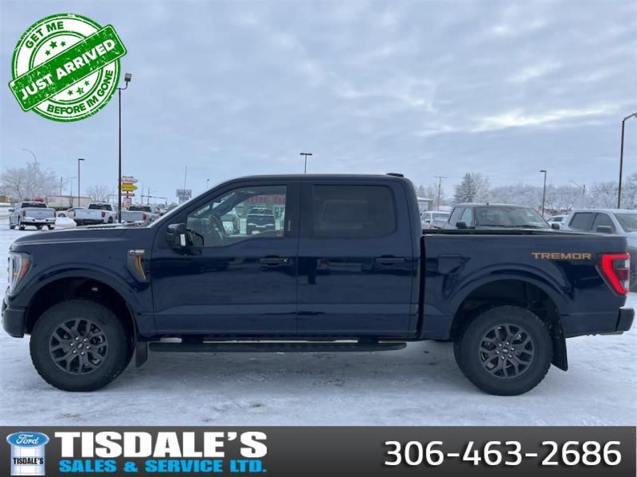 Used 2023 Ford F-150  for sale in Kindersley, SK