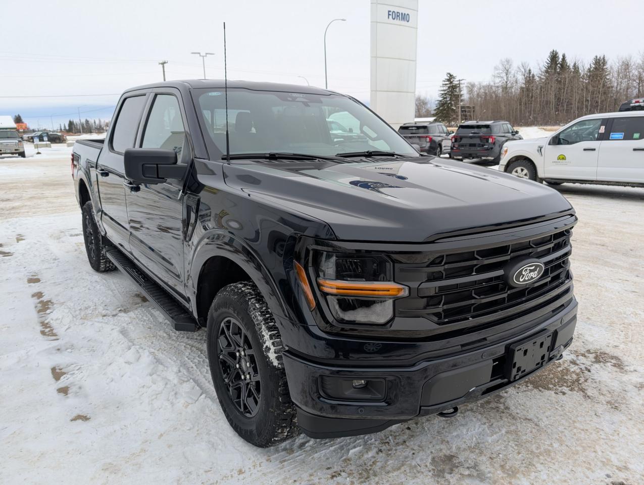 2024 Ford F-150 XLT Photo