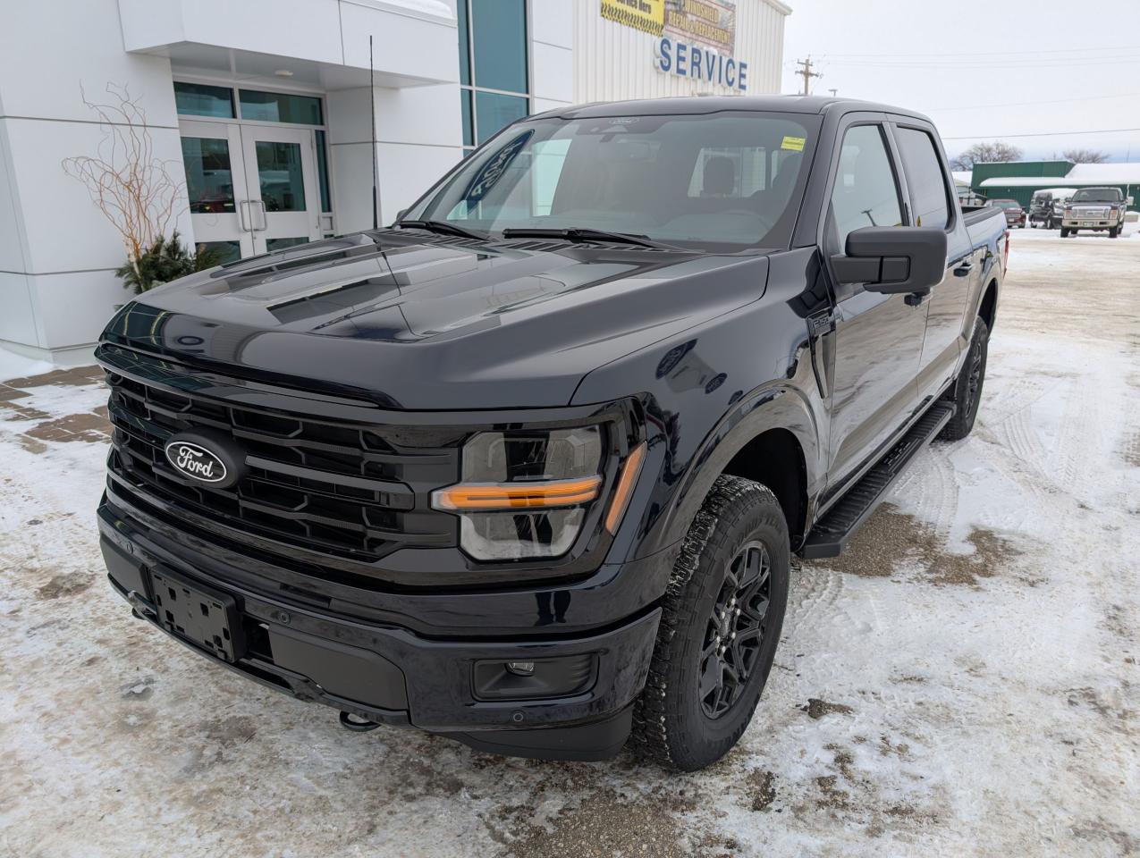 2024 Ford F-150 XLT Photo