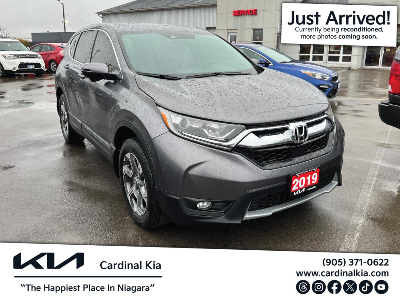 Used 2019 Honda CR-V EX for sale in Niagara Falls, ON