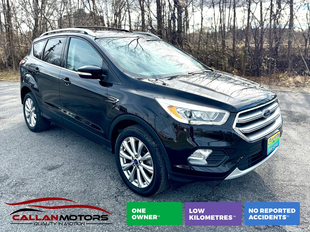 Used 2017 Ford Escape Titanium 4WD Panoroof Clean Carfax One Owner for sale in Perth, ON