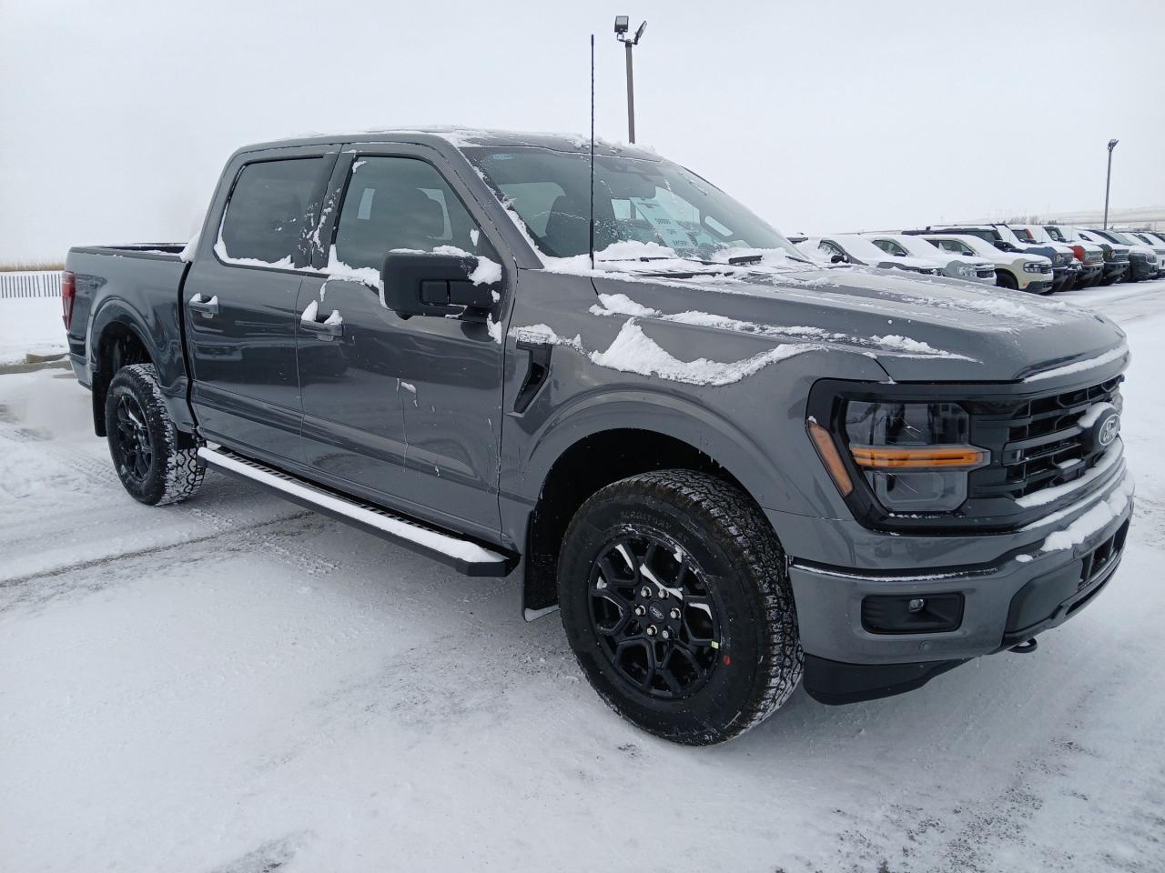 New 2024 Ford F-150 XLT for sale in Pincher Creek, AB