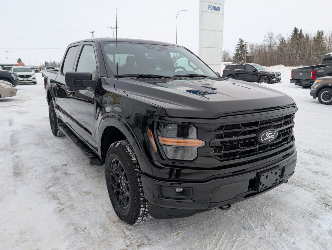 2024 Ford F-150 XLT Photo