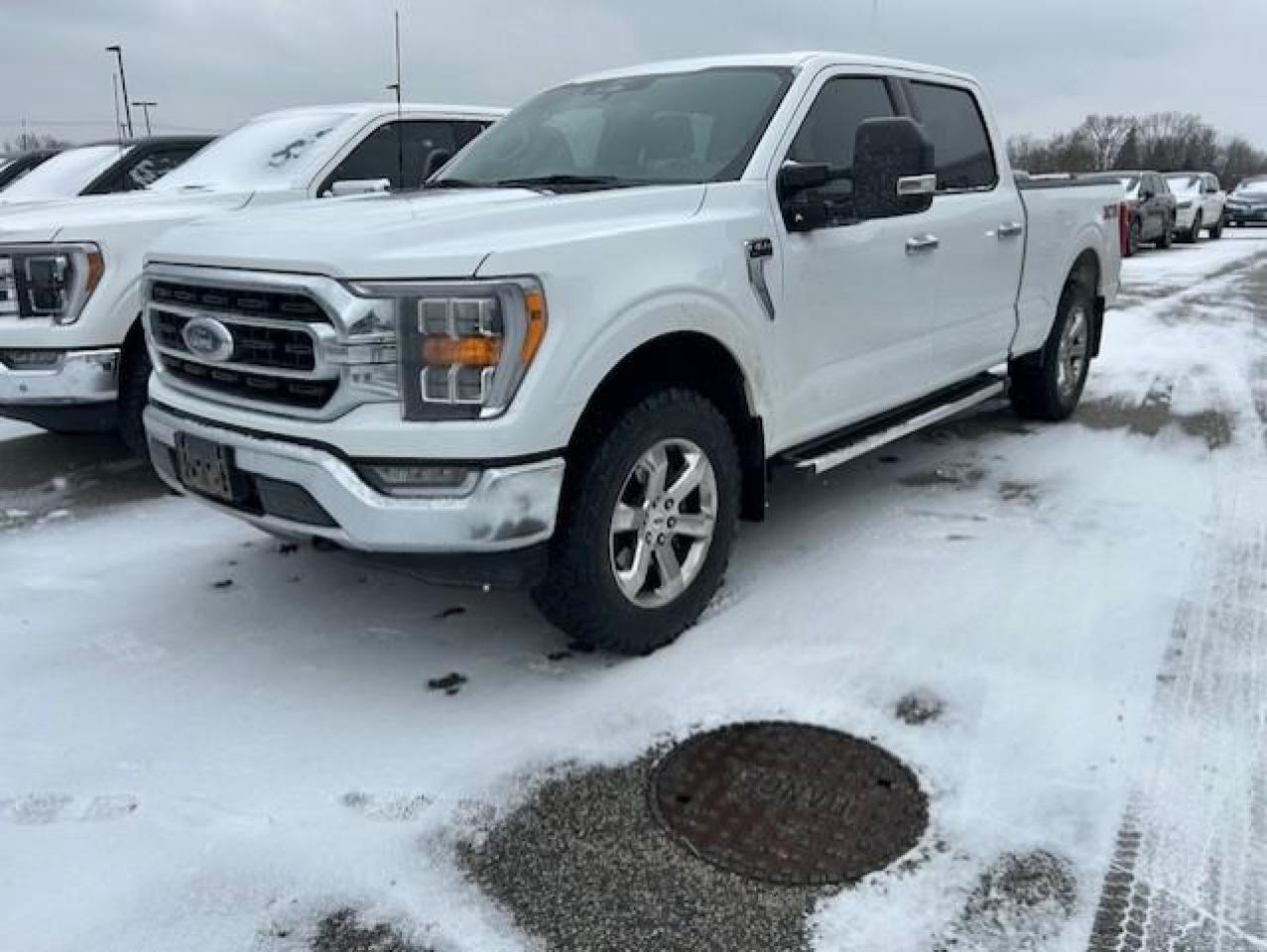 Used 2022 Ford F-150 XLT cabine SuperCrew 4RM caisse de 6,5 pi for sale in Watford, ON