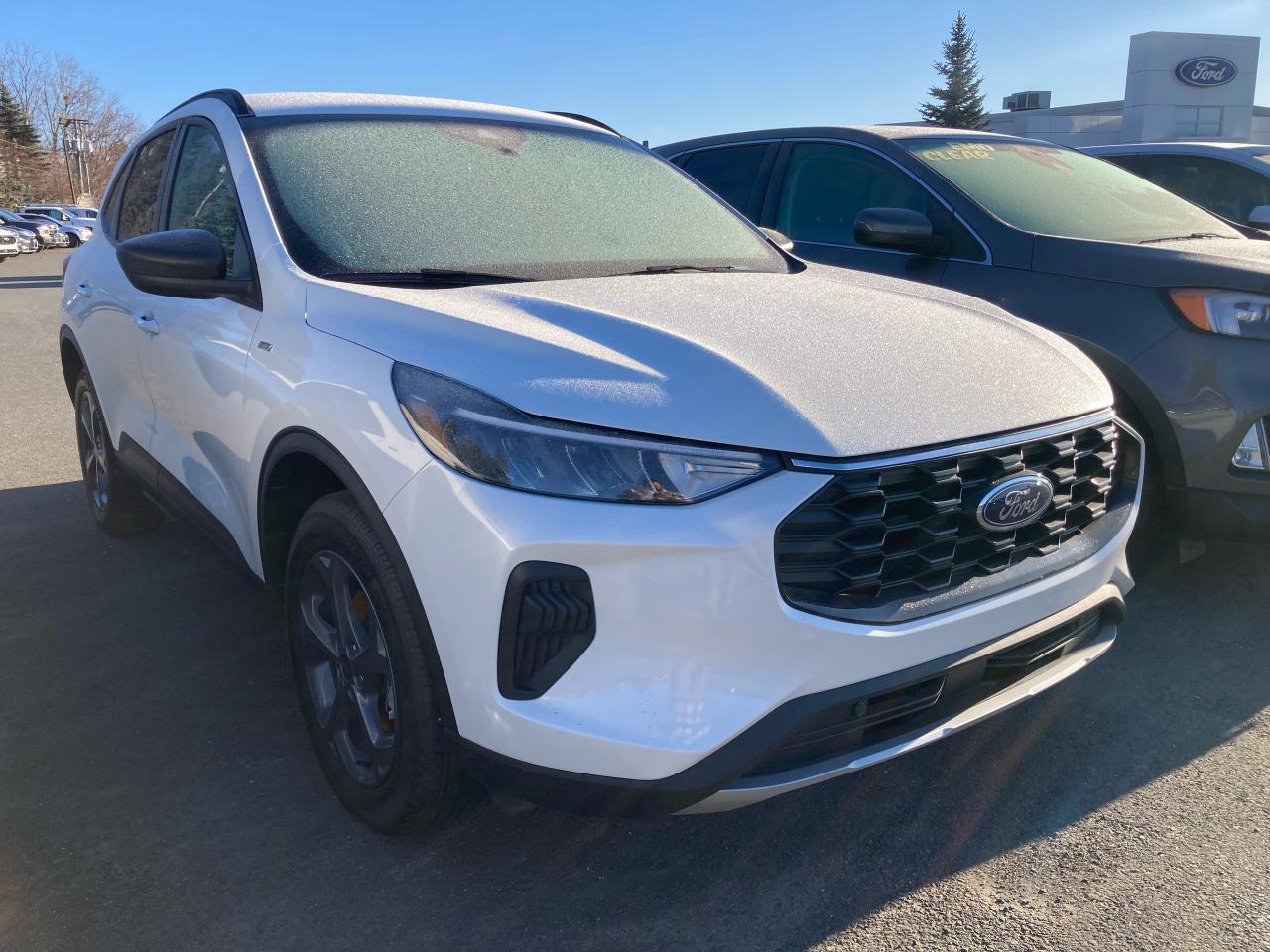 2025 Ford Escape ST-Line Photo