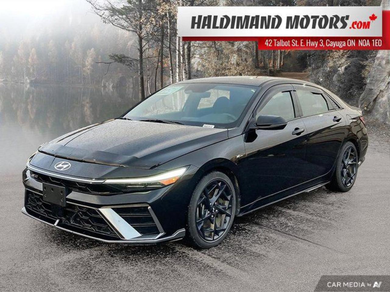 Used 2024 Hyundai Elantra N Line Ultimate for sale in Cayuga, ON