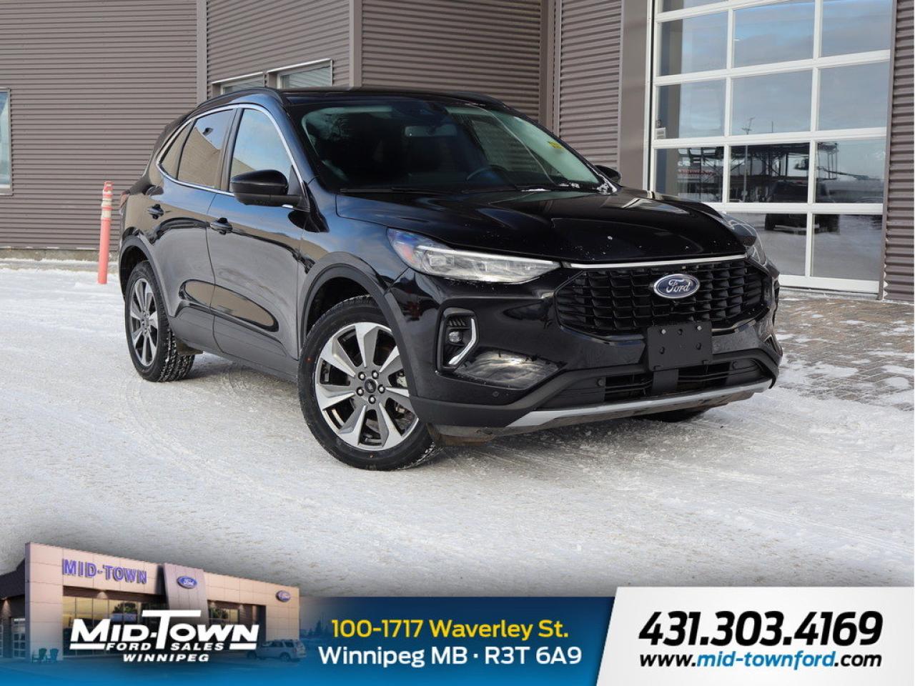 Used 2023 Ford Escape Platinum AWD for sale in Winnipeg, MB