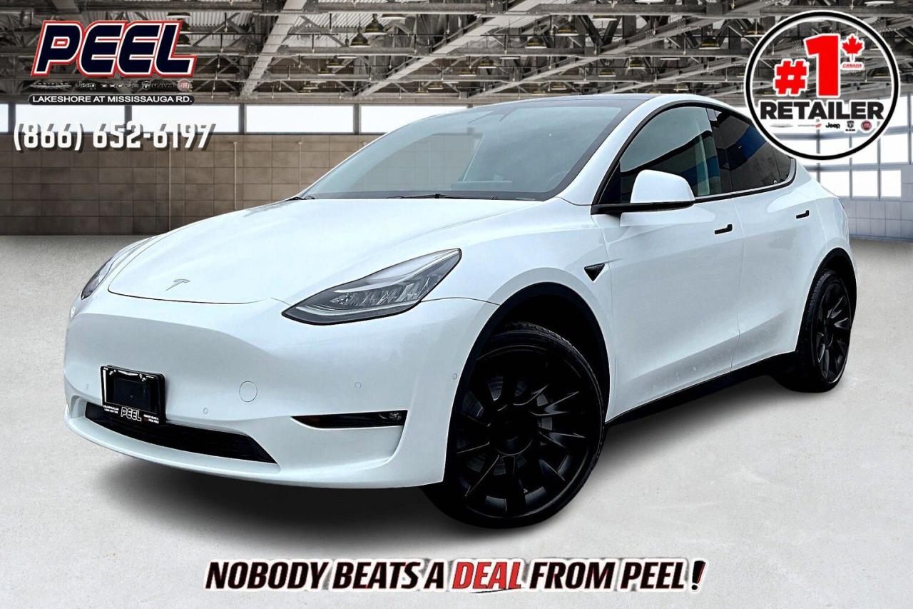 Used 2021 Tesla Model Y Long Range | Base Autopilot | 20