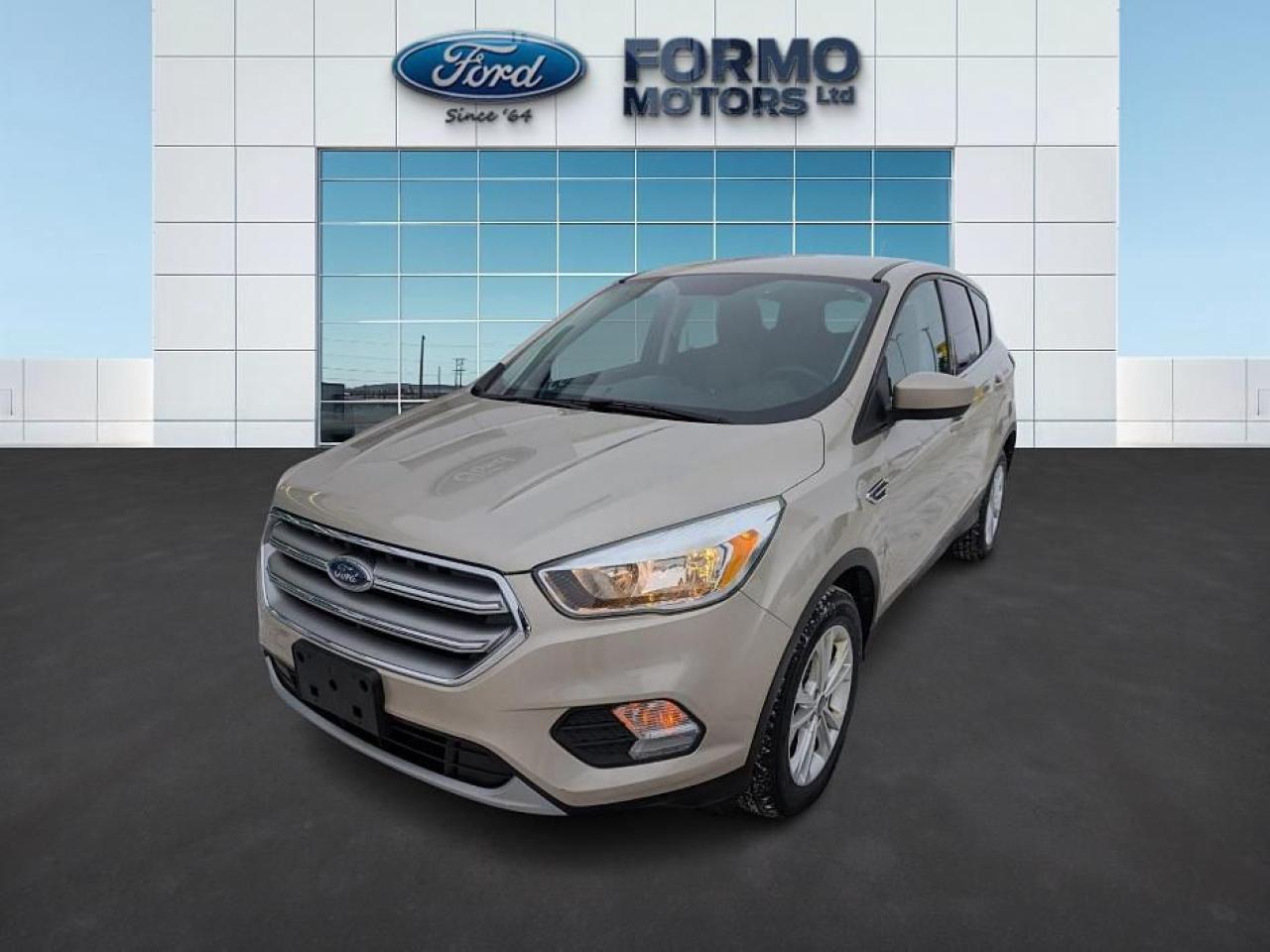 Used 2017 Ford Escape SE for sale in Swan River, MB