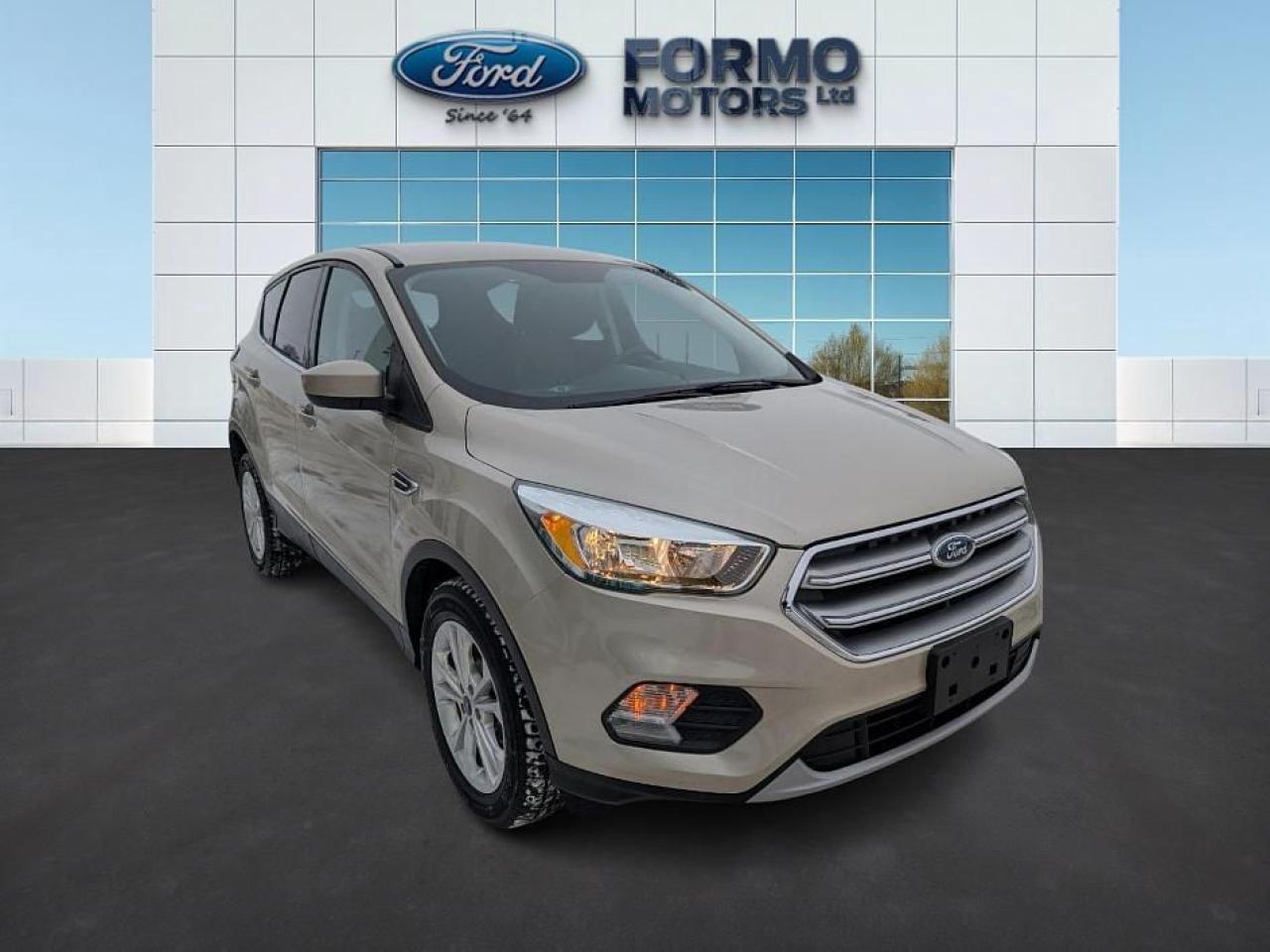 2017 Ford Escape SE Photo