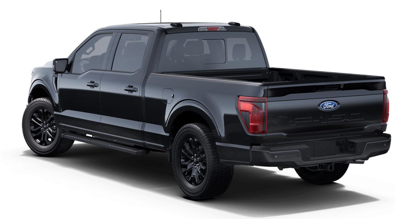 2025 Ford F-150 4x4 Supercrew-157 Photo