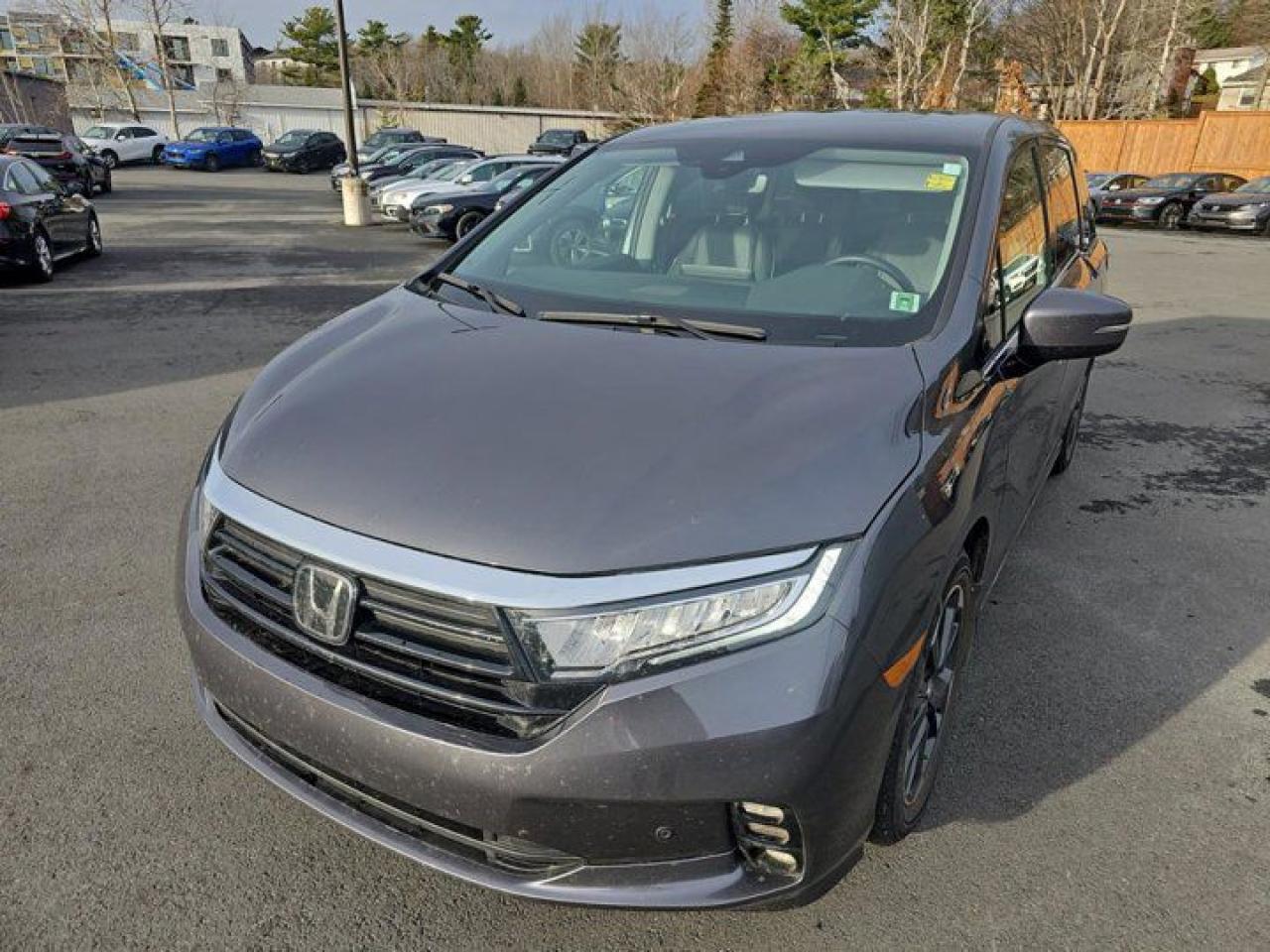 Used 2023 Honda Odyssey Touring  | DVD | Leather | Sunroof | Nav | Power Sliding Doors + Hatch | Rear Camera for sale in Guelph, ON