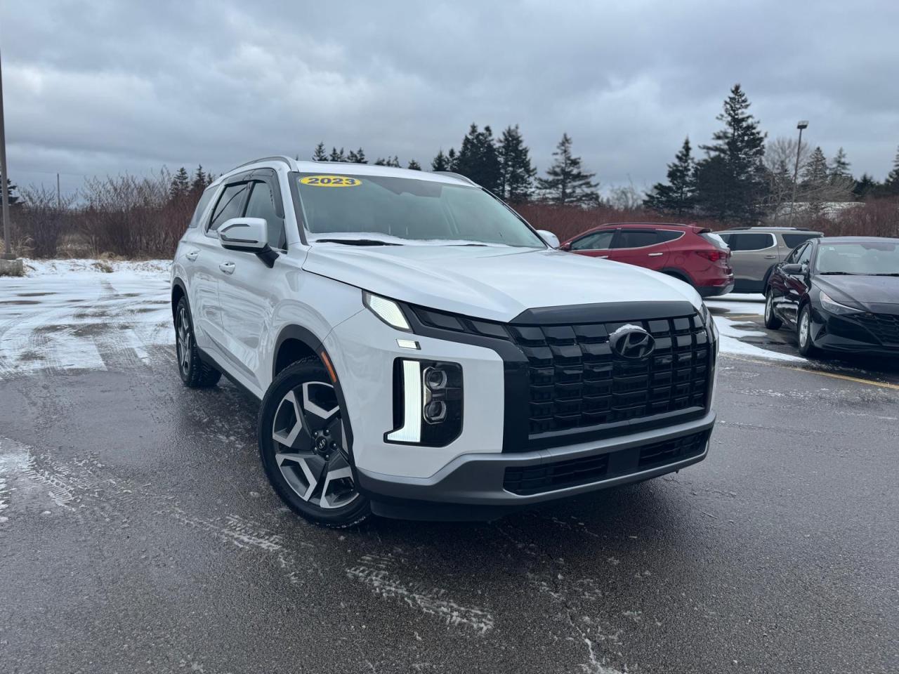 Used 2023 Hyundai PALISADE Preferred AWD for sale in Dayton, NS