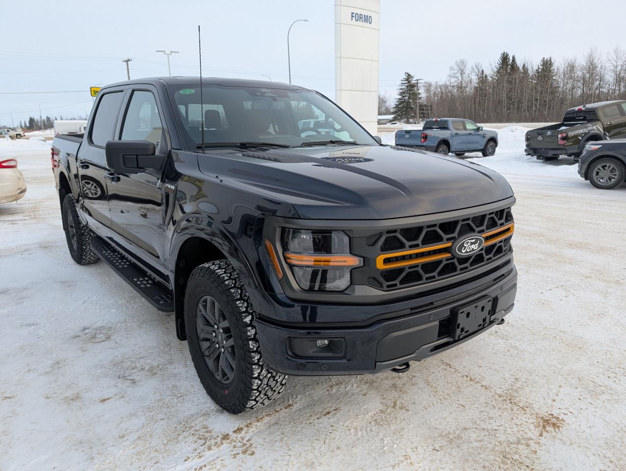 2025 Ford F-150 Tremor Photo