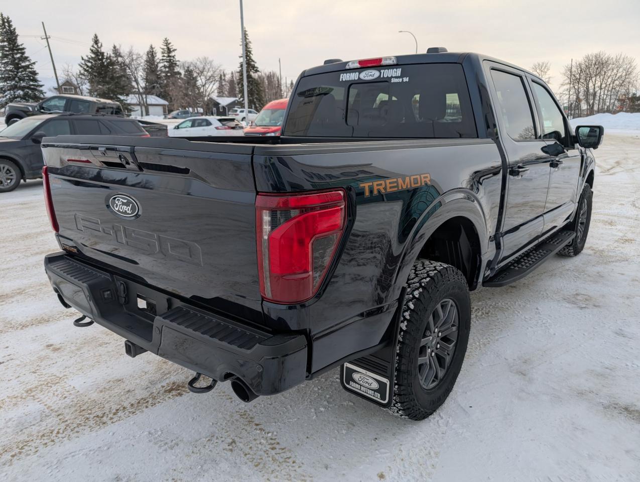 2025 Ford F-150 Tremor Photo5