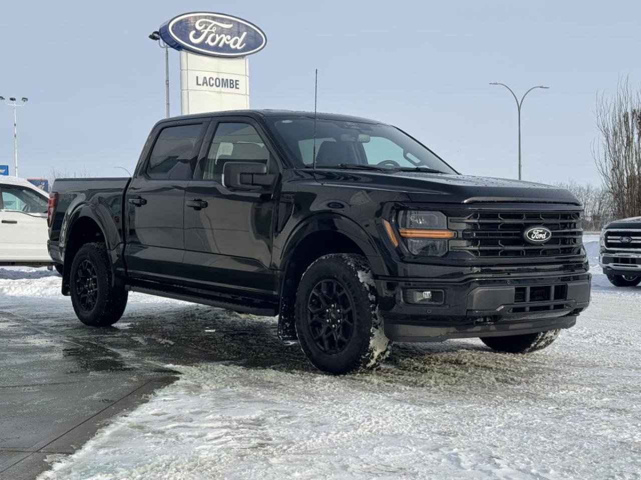 New 2024 Ford F-150 XLT for sale in Lacombe, AB