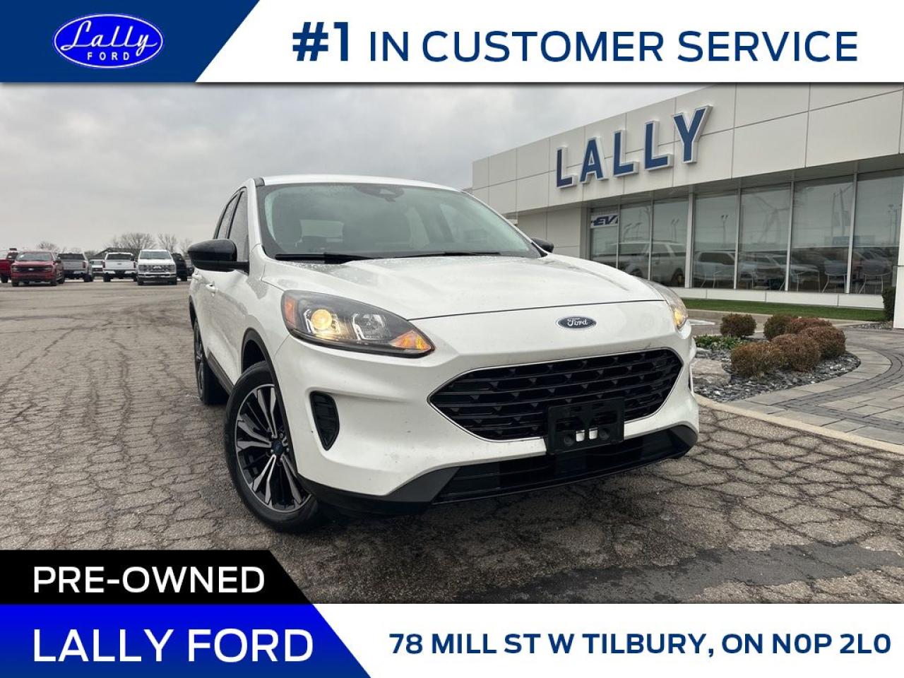 Used 2021 Ford Escape SE, AWD, Nav, Mint! for sale in Tilbury, ON