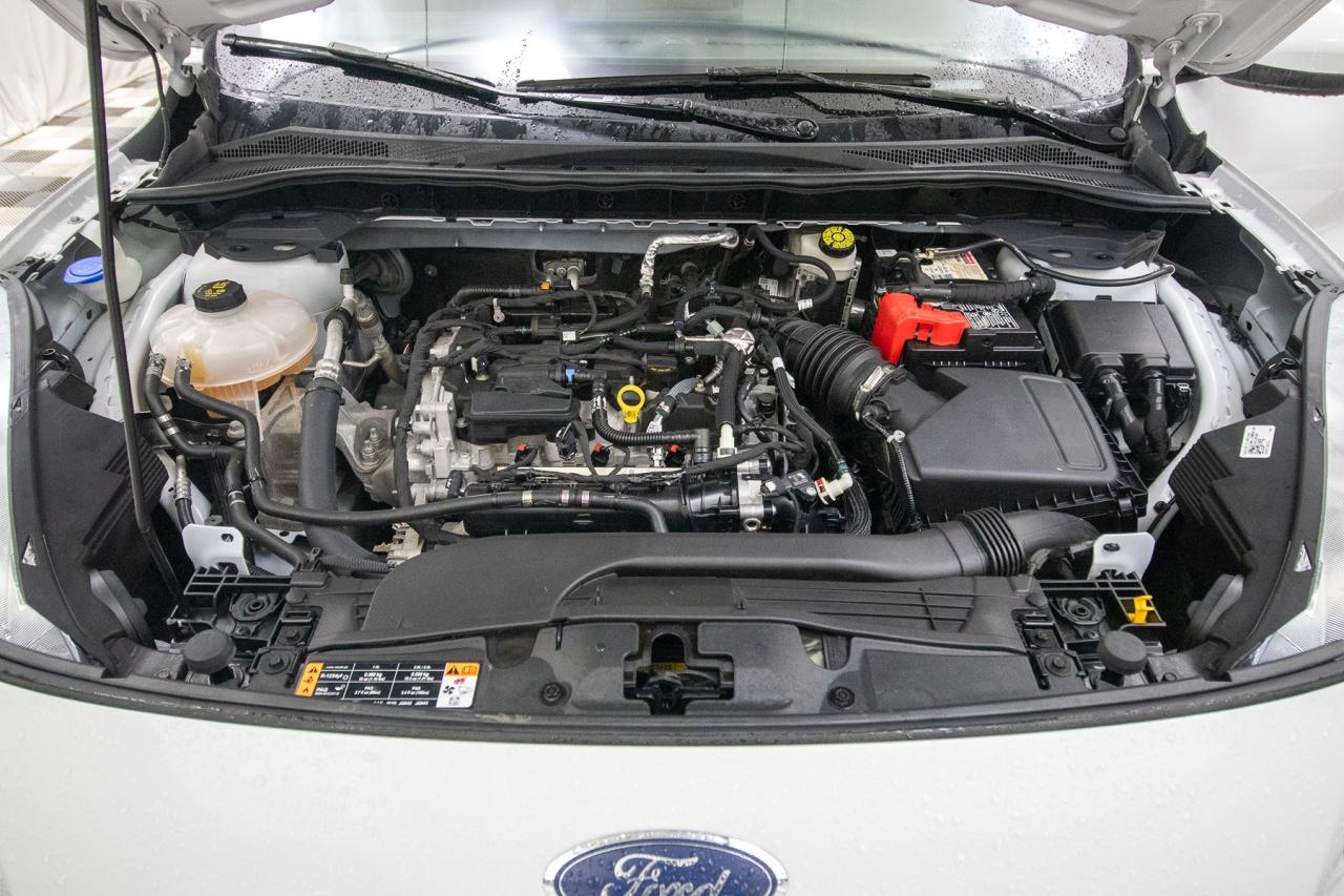 2021 Ford Escape SEL 4WD Photo5