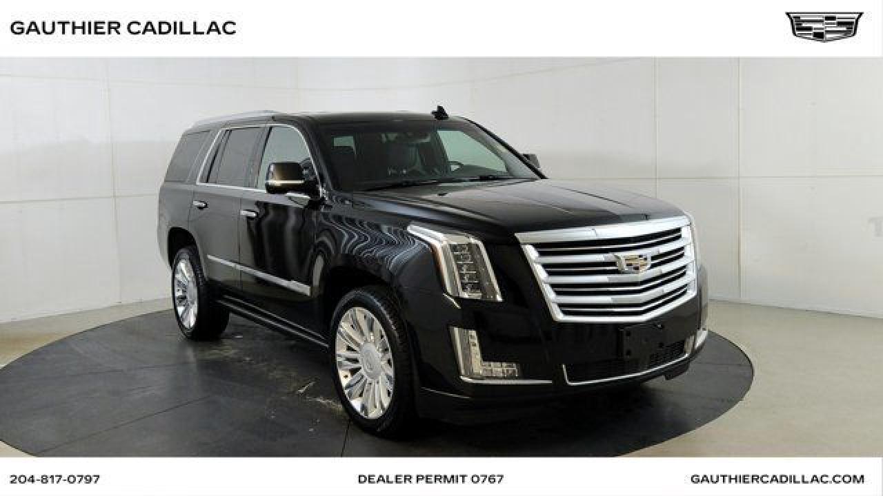 Used 2016 Cadillac Escalade Platinum for sale in Winnipeg, MB