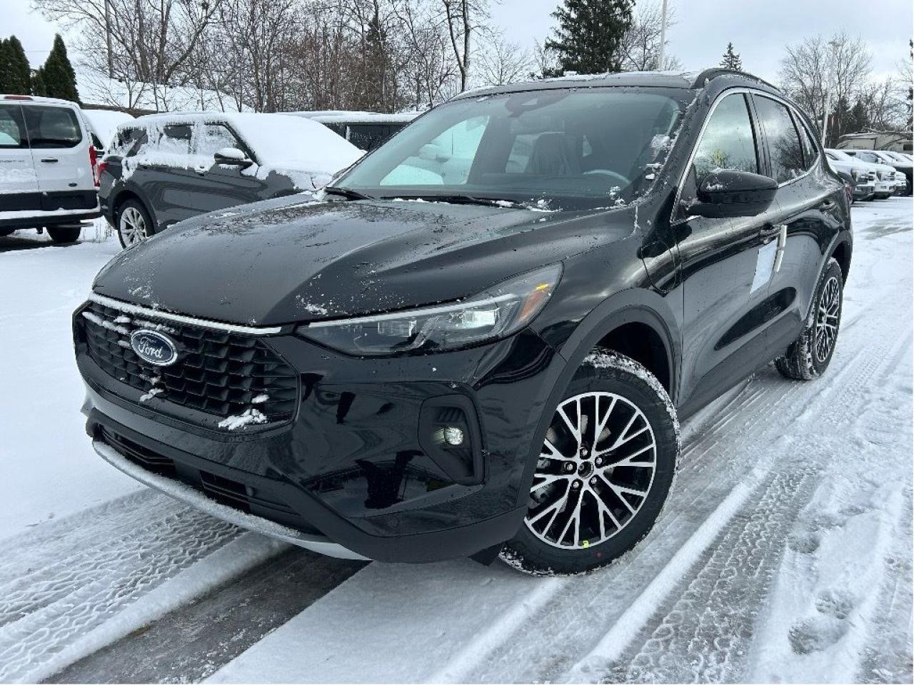 New 2025 Ford Escape PHEV  - Sunroof for sale in Caledonia, ON