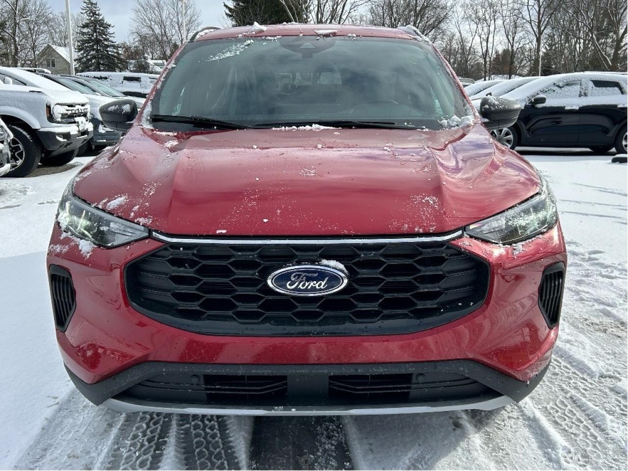 2025 Ford Escape ST-Line Service Loaner Photo
