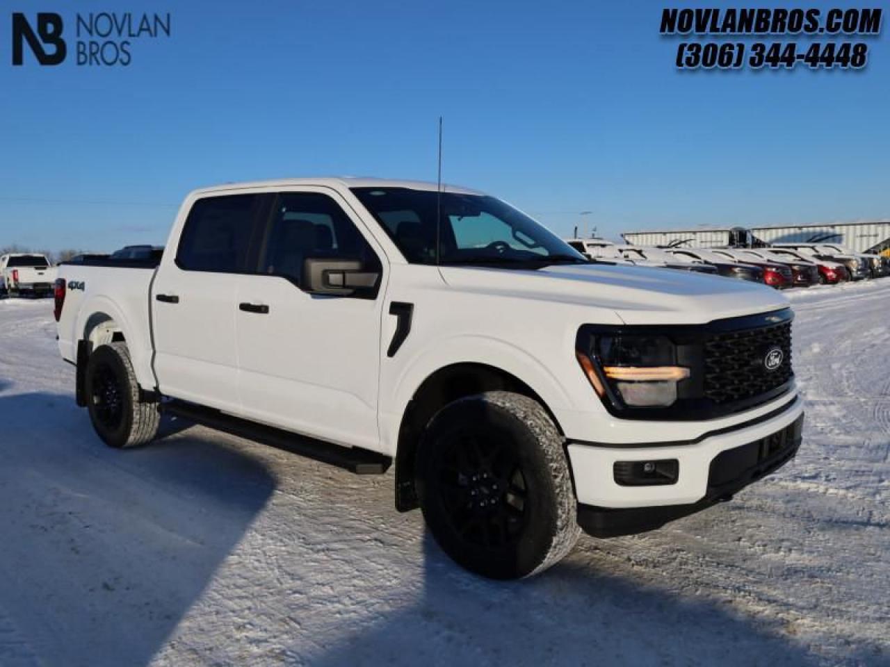 New 2024 Ford F-150 STX for sale in Paradise Hill, SK