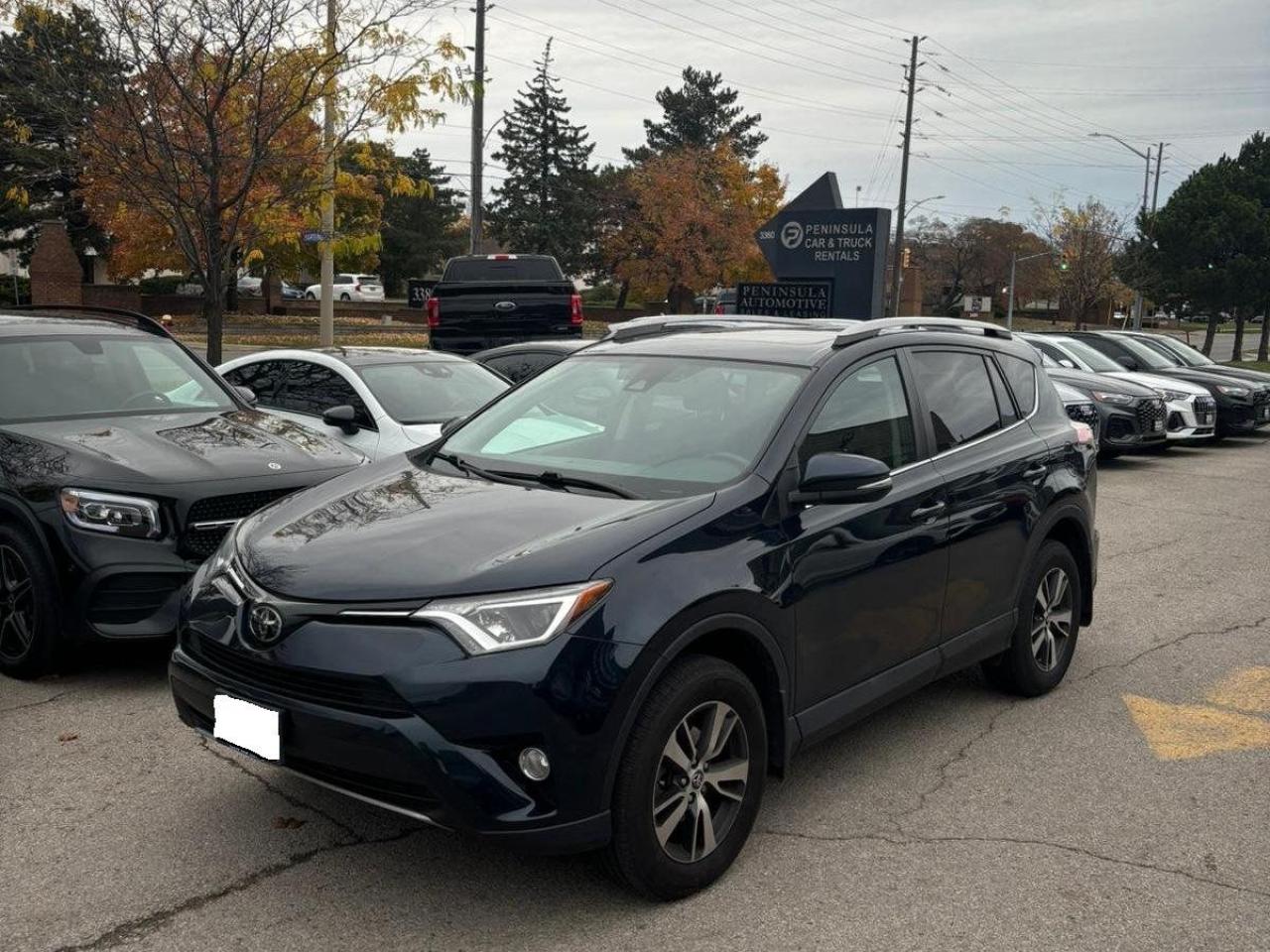 Used 2018 Toyota RAV4 XLE for sale in Steinbach, MB