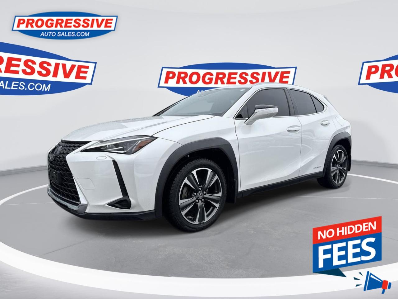 Used 2019 Lexus UX 250H for sale in Sarnia, ON