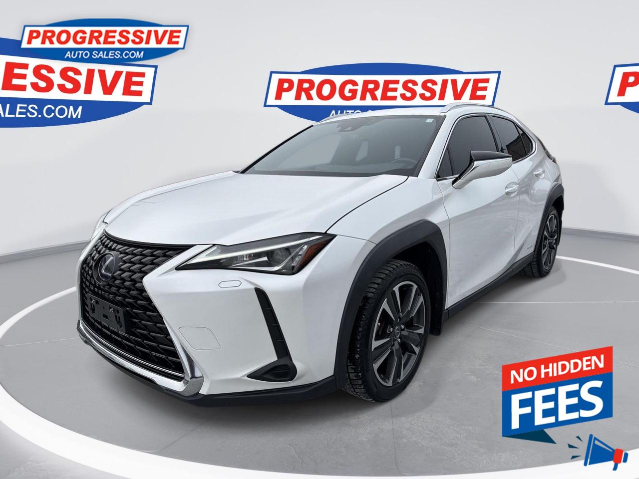 Used 2019 Lexus UX 250H for sale in Sarnia, ON