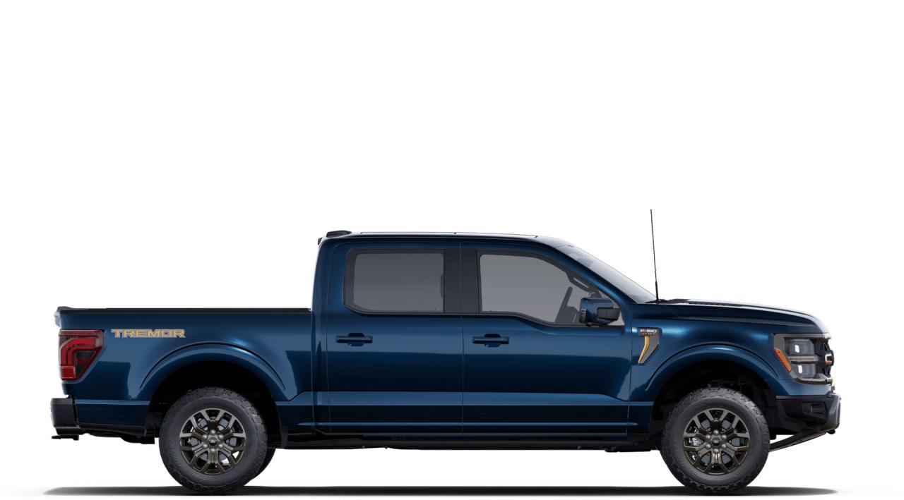 2025 Ford F-150 4x4 Supercrew-145 Photo4