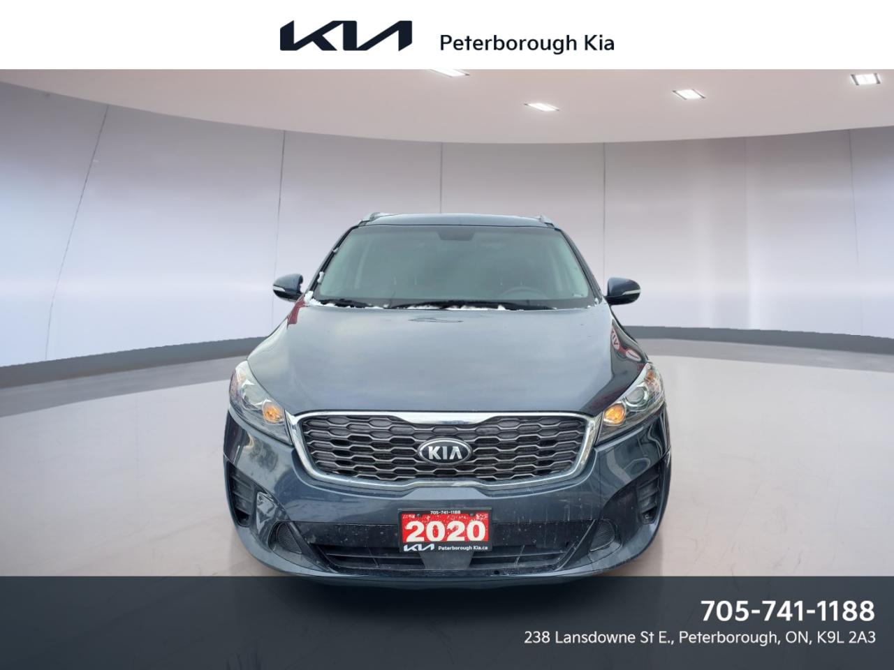 Used 2020 Kia Sorento LX+ V6 TI for sale in Peterborough, ON