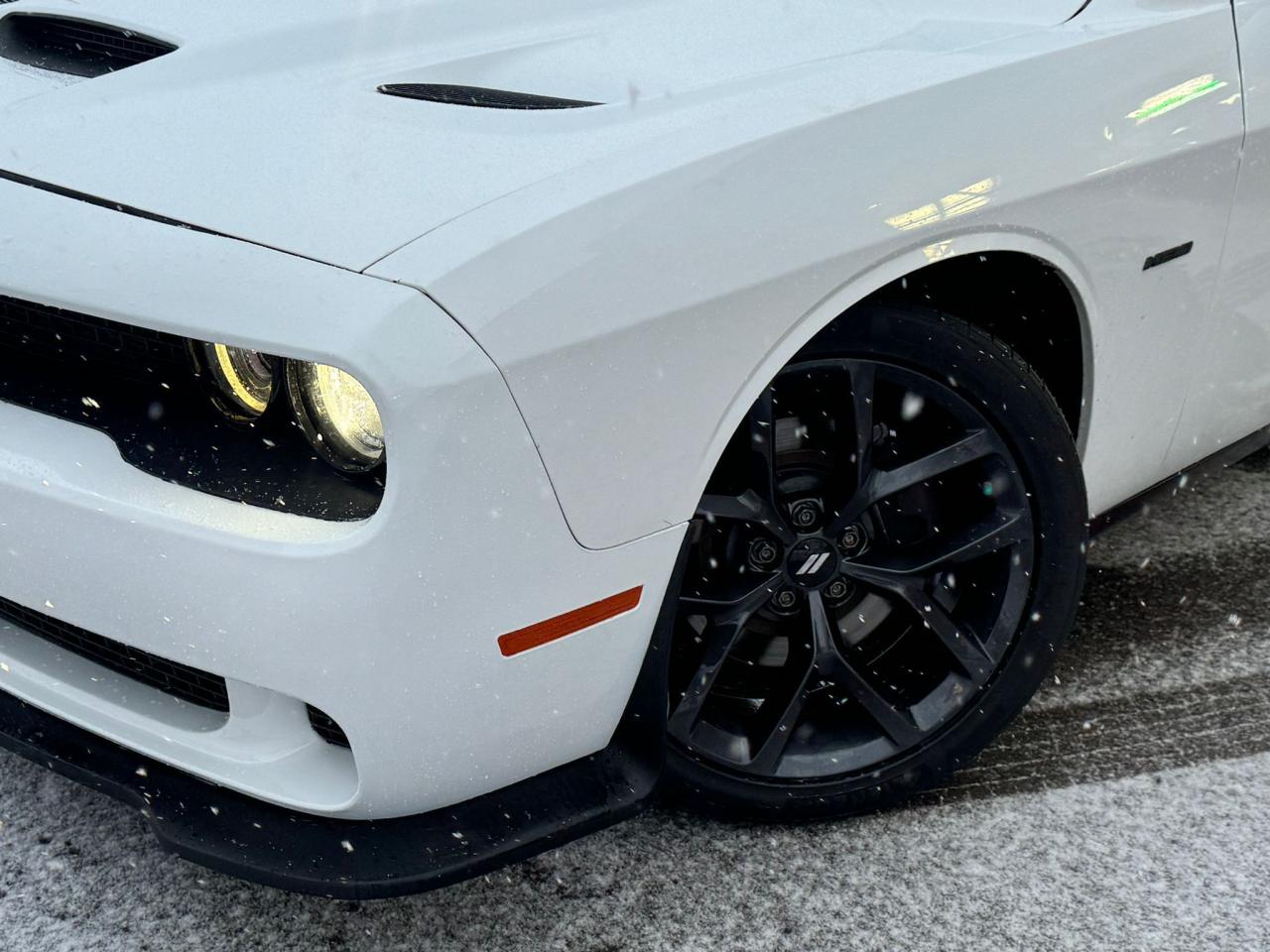 2019 Dodge Challenger R/T Photo4