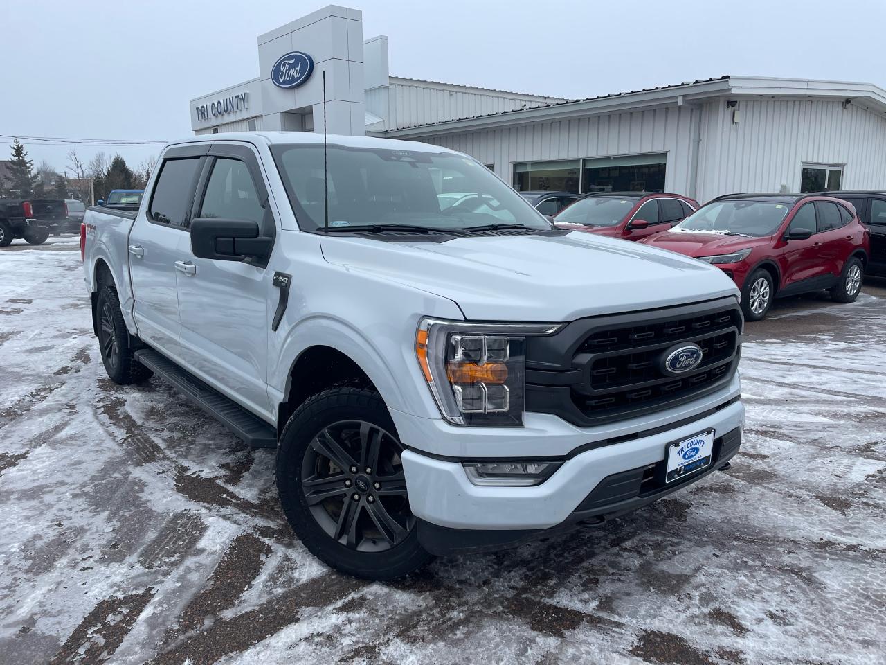 Used 2022 Ford F-150 XLT for sale in Tatamagouche, NS