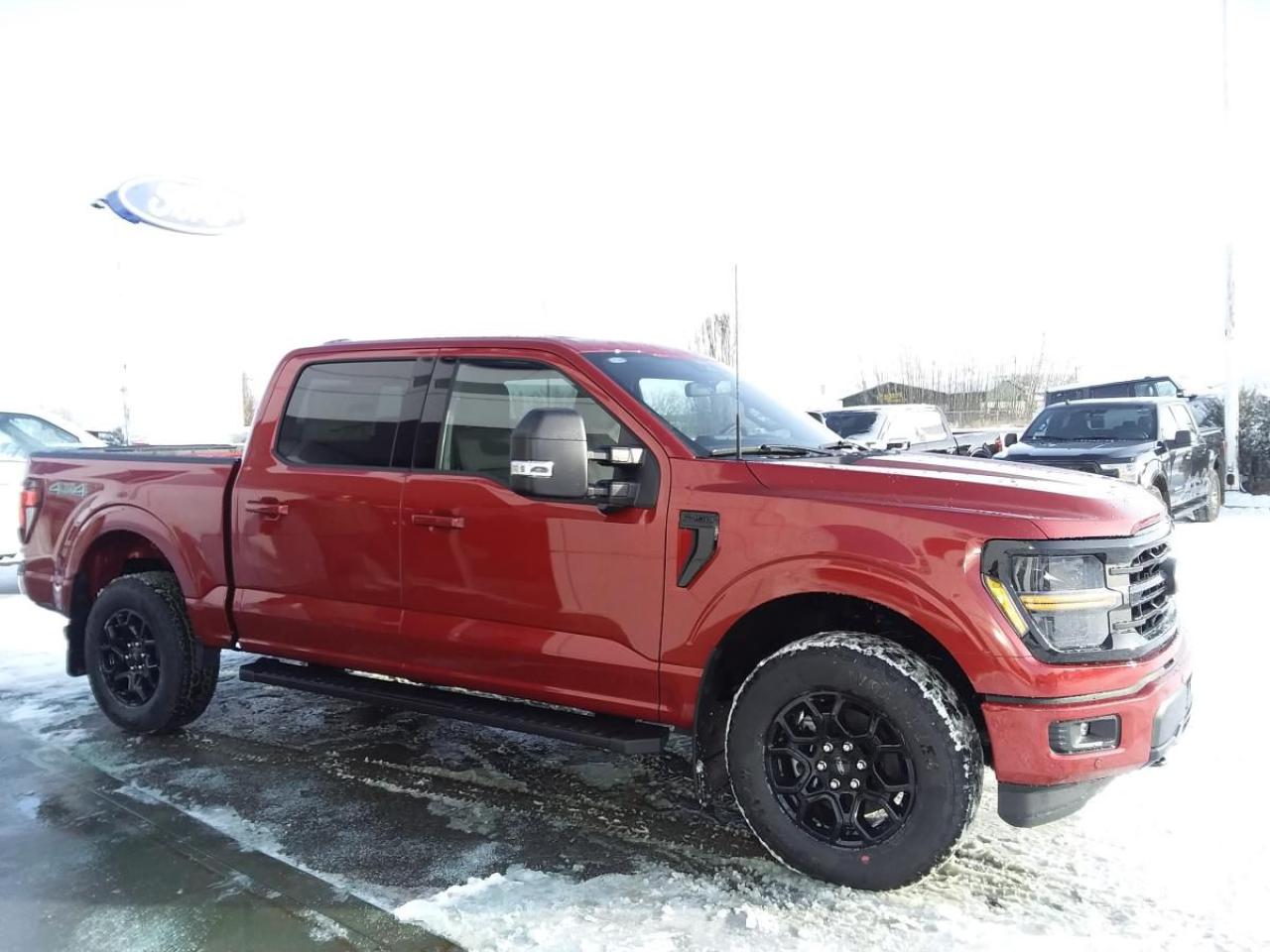 New 2024 Ford F-150 XLT for sale in Lacombe, AB