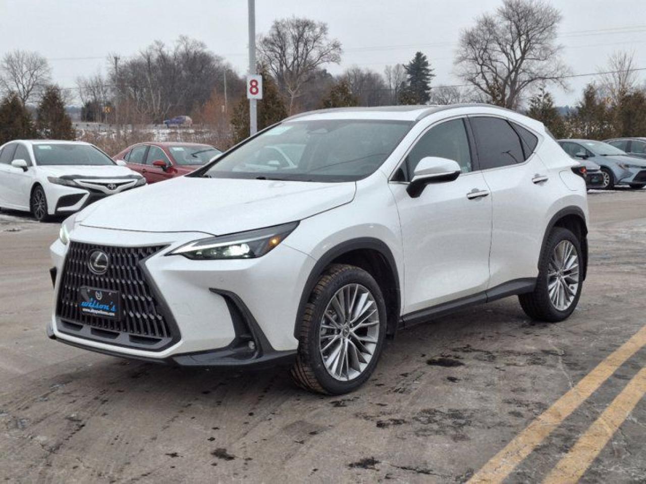 Used 2023 Lexus NX NX 350 AWD | Premium Pkg | Nav | Leather | Heated Steering | New Tires | New Brakes | for sale in Guelph, ON