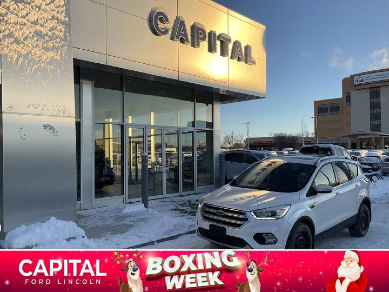 Used 2017 Ford Escape Titanium for sale in Winnipeg, MB