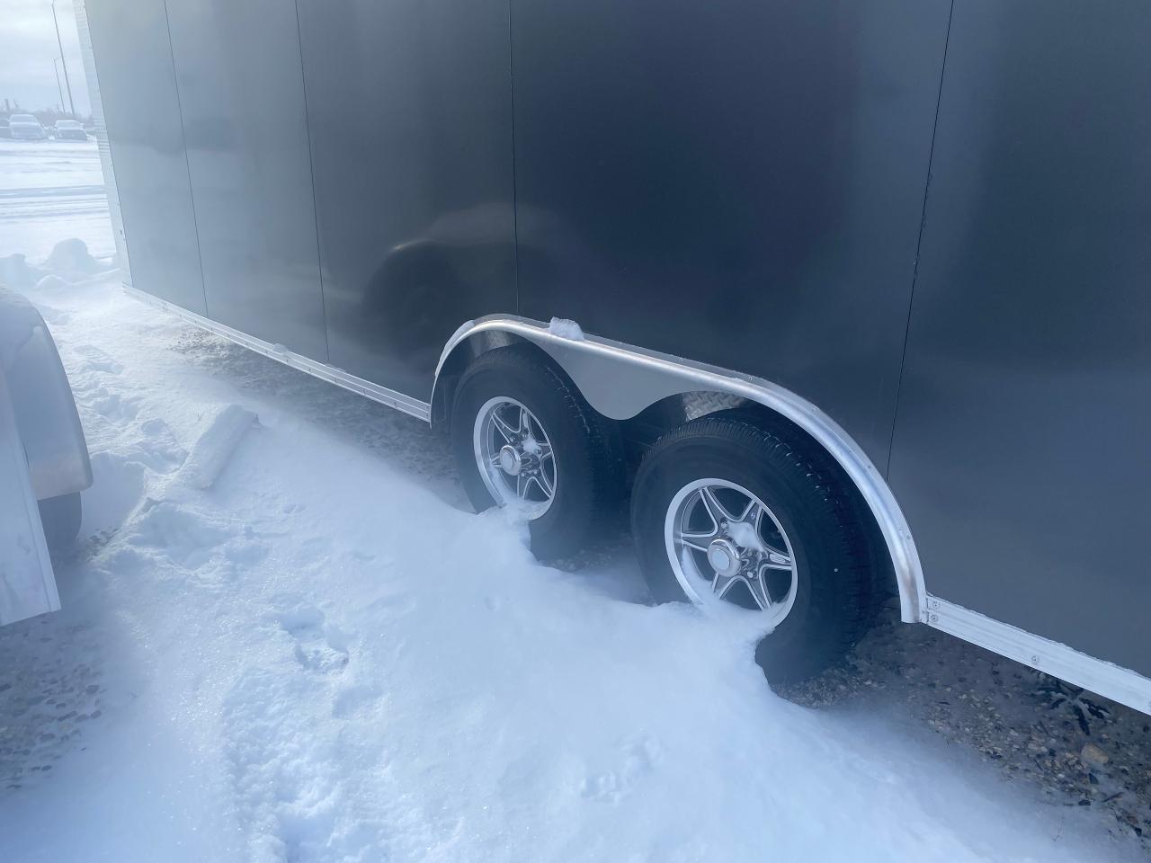 2025 ALCOM EZ Hauler 8.5 x 24' Alcom EZ Hauler Ramp Door Photo2