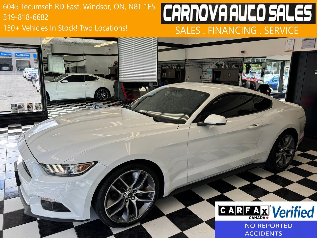 2016 Ford Mustang ECO Premium+GPS+BSM+SHAKER Audio+CLEAN CARFAX Photo