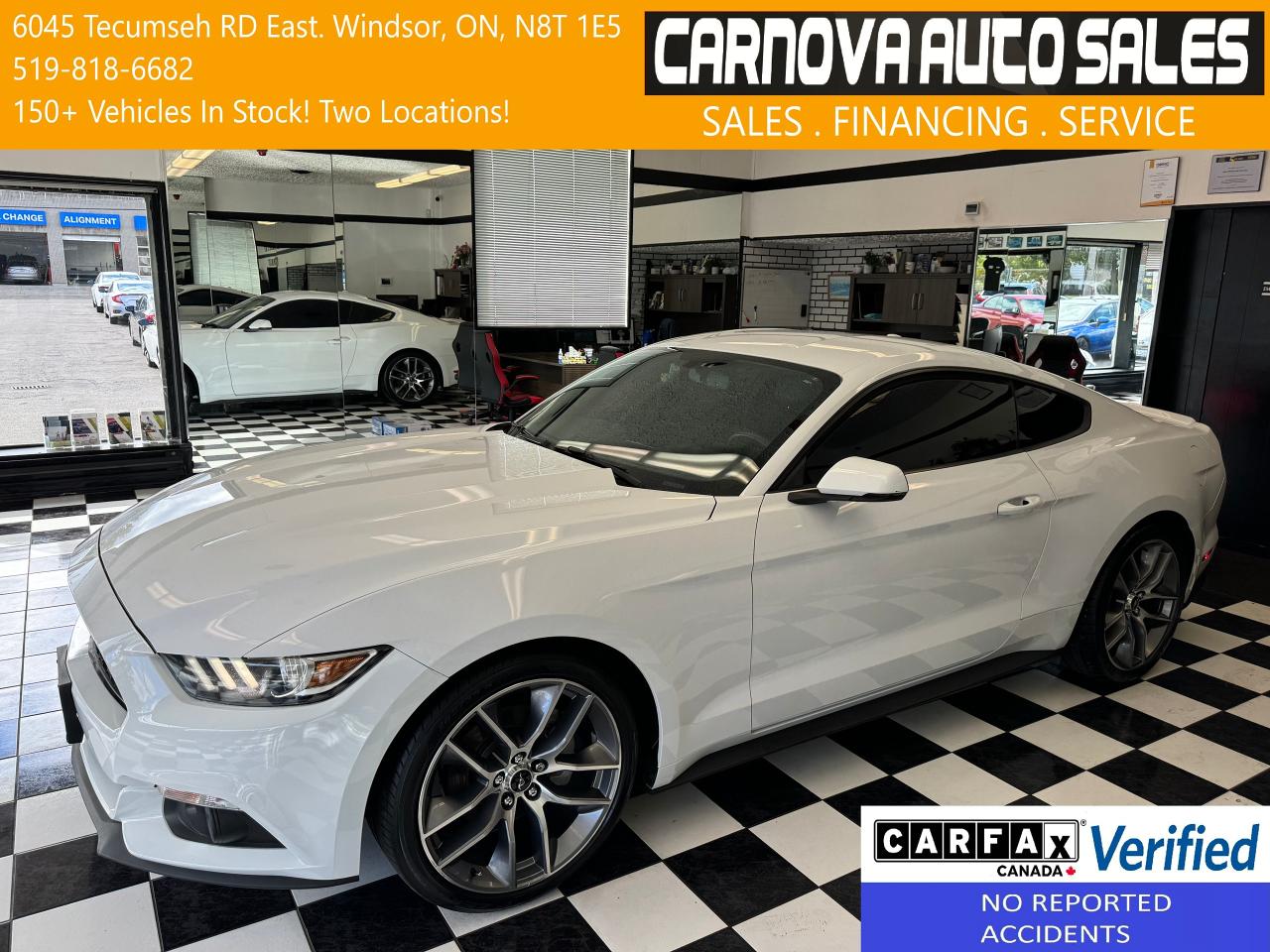 Used 2016 Ford Mustang ECO Premium+GPS+BSM+SHAKER Audio+CLEAN CARFAX for sale in Windsor, ON