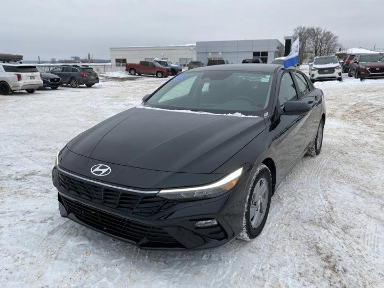 Used 2024 Hyundai Elantra Essential - CLEAN CARFAX - LOW KMS - BACKUP CAMERA for sale in Fredericton, NB