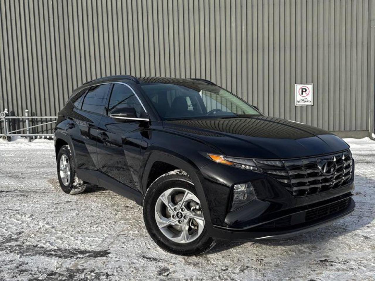 Used 2024 Hyundai Tucson Trend  AWD | Leather | Pano Roof | Navi | Heated Steering + Seats | Adaptive Cruise | Remote Start for sale in Guelph, ON