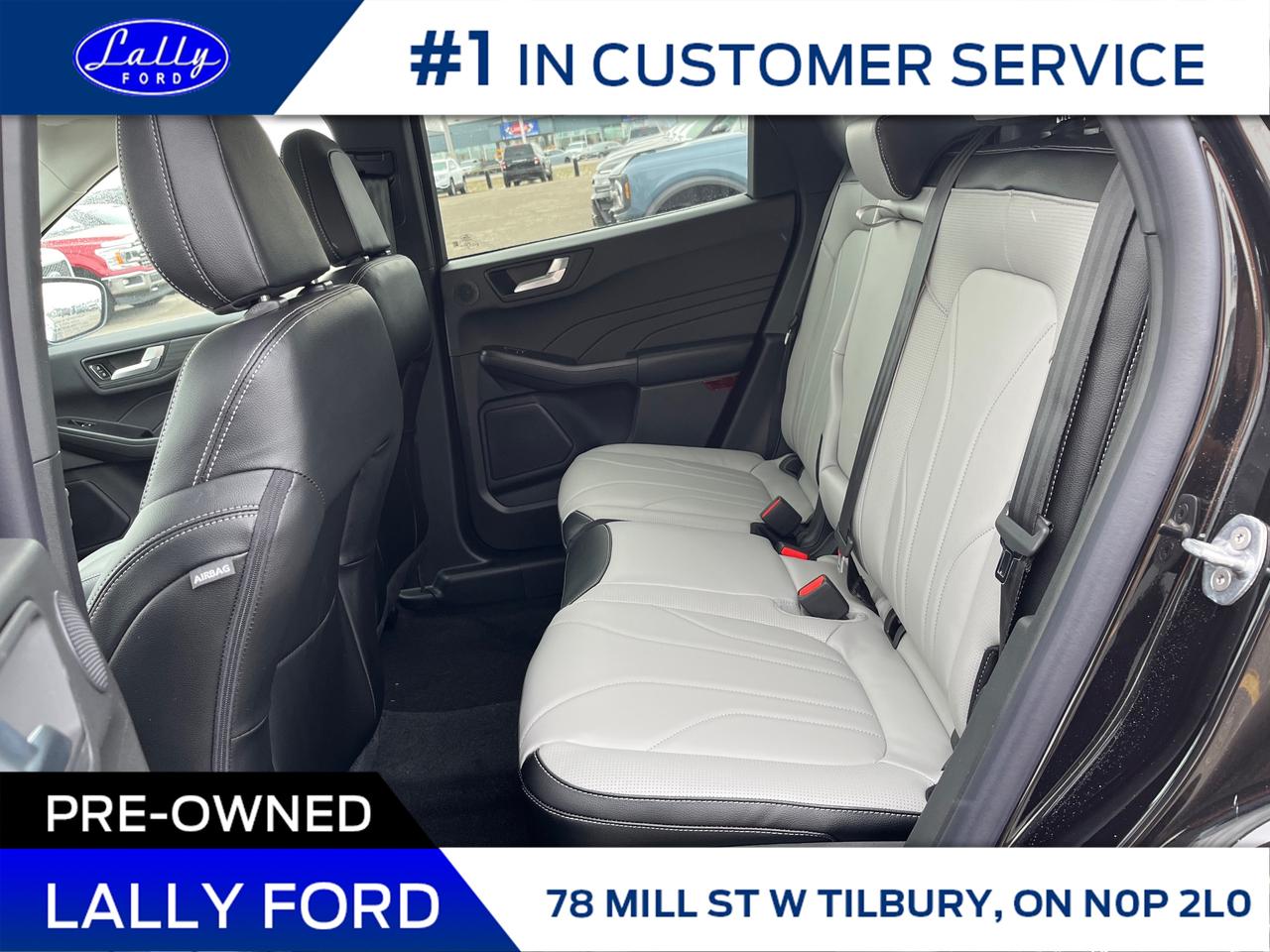 2025 Ford Escape Platinum Photo