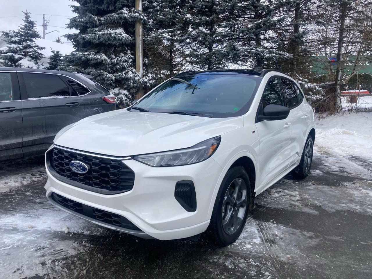 Used 2024 Ford Escape  for sale in Woodstock, NB