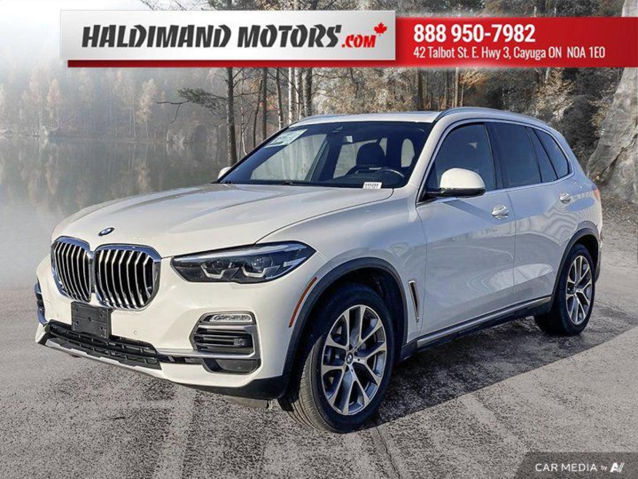 Used 2019 BMW X5 xDrive40i for sale in Cayuga, ON