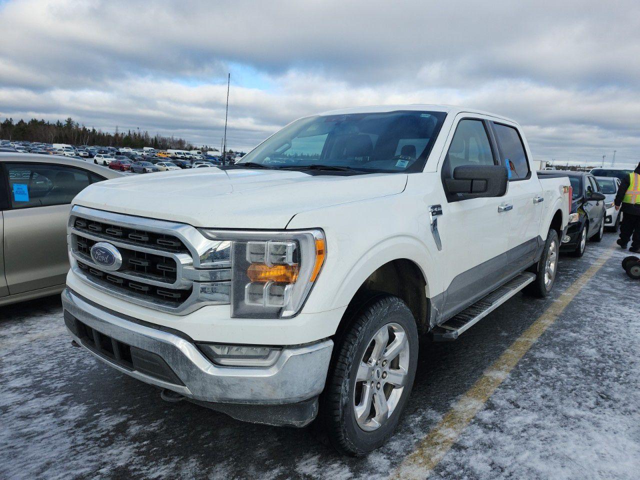 Used 2022 Ford F-150  for sale in Truro, NS