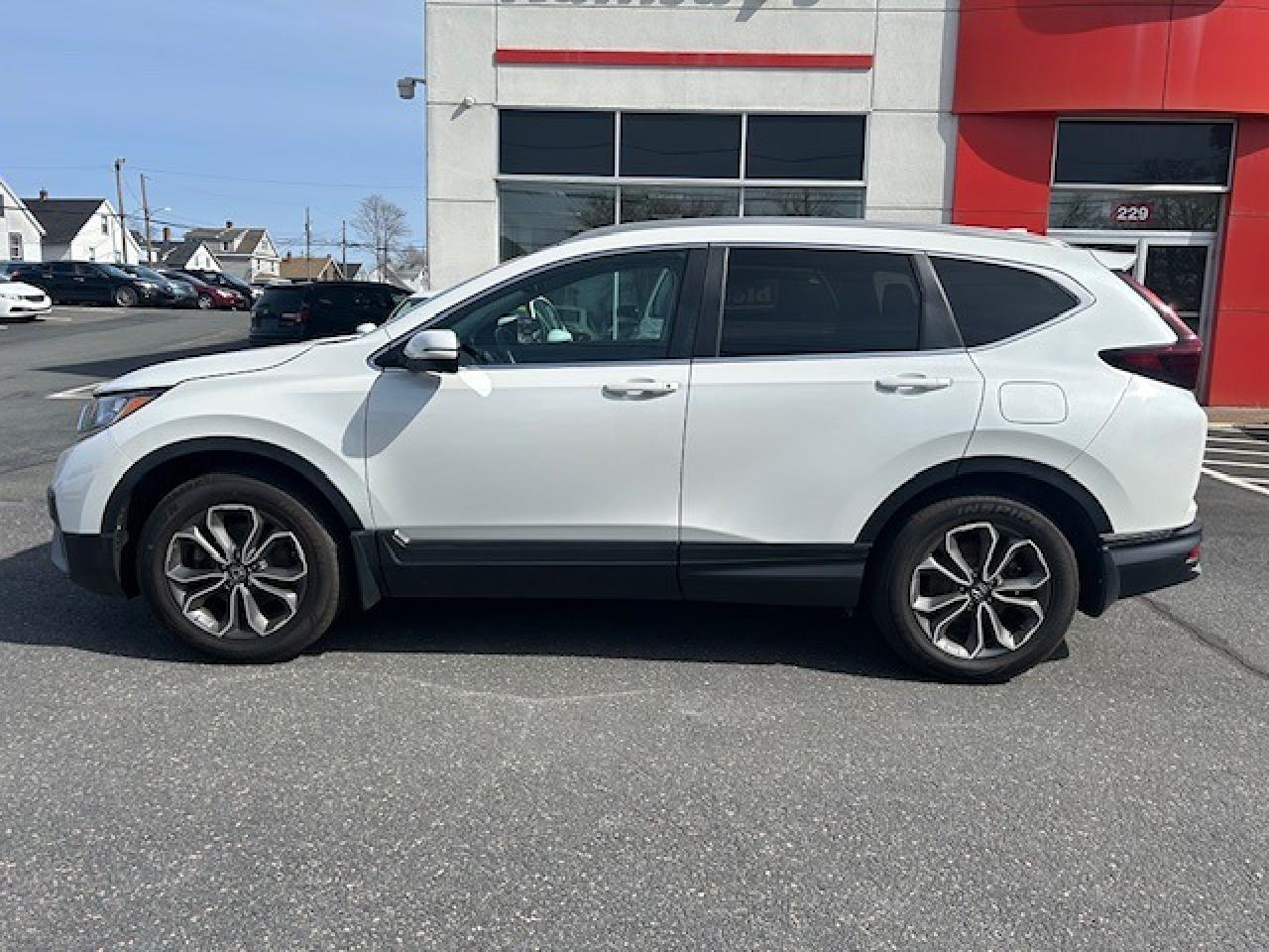 2020 Honda CR-V EX-L Photo
