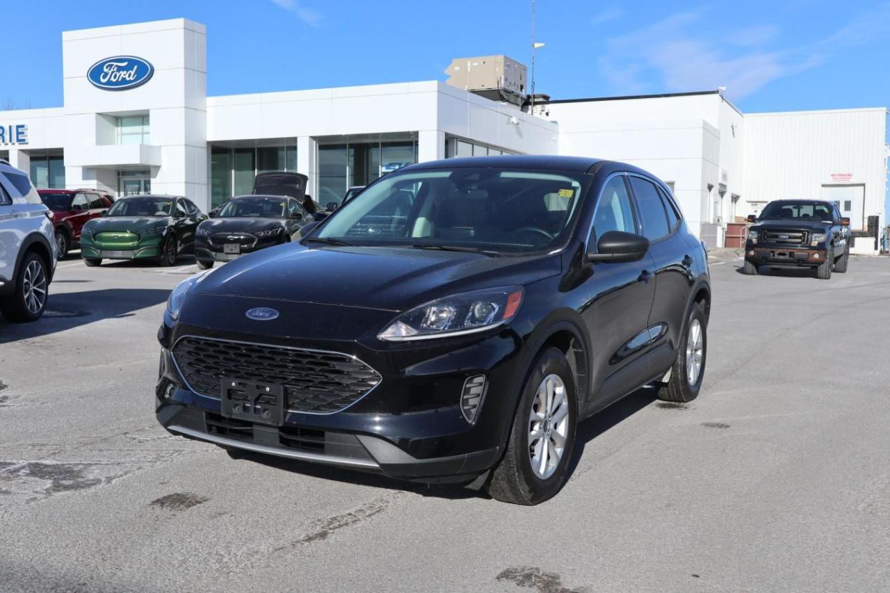 Used 2022 Ford Escape SE for sale in Kingston, ON