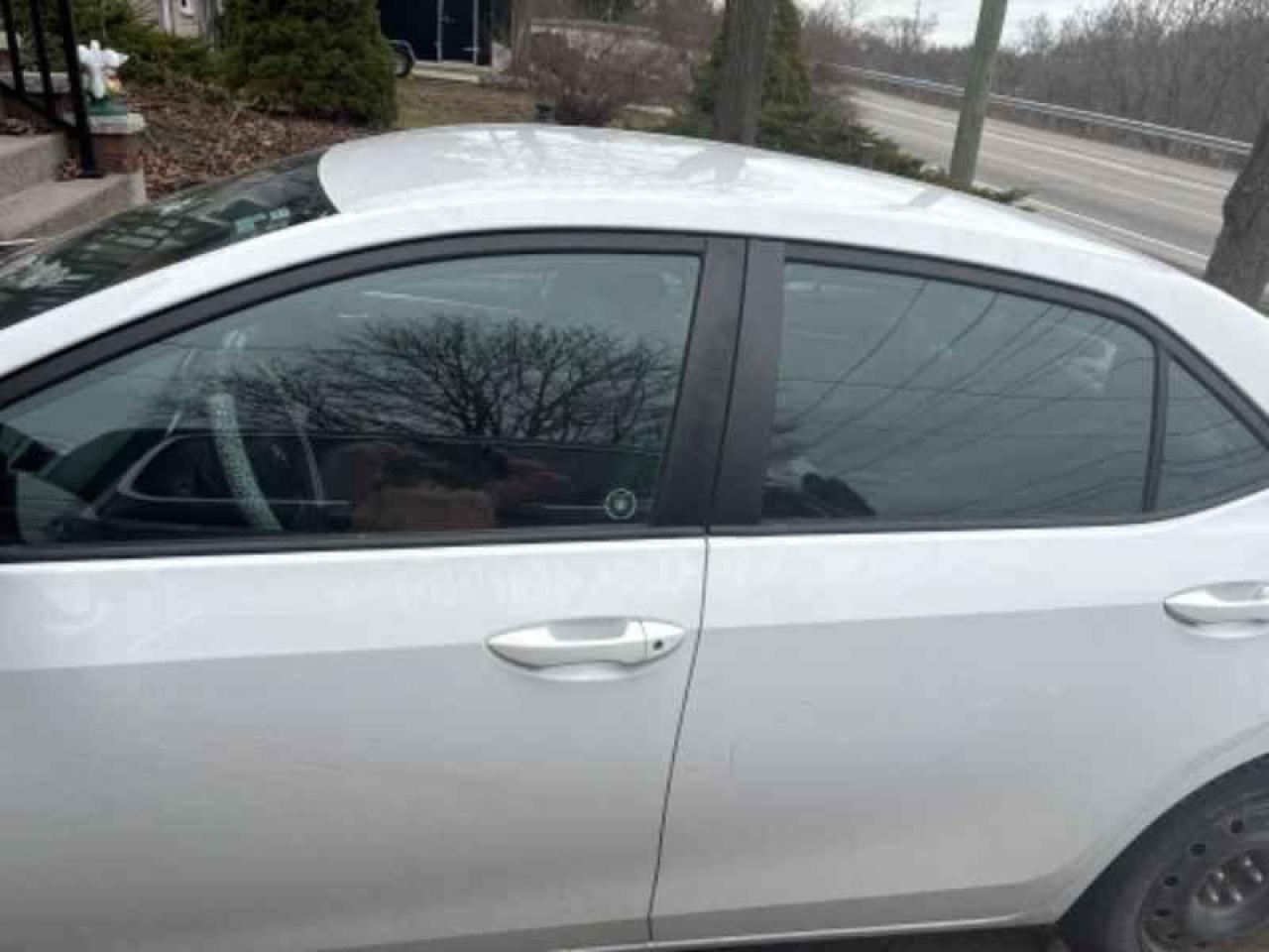 2014 Toyota Corolla  Photo2