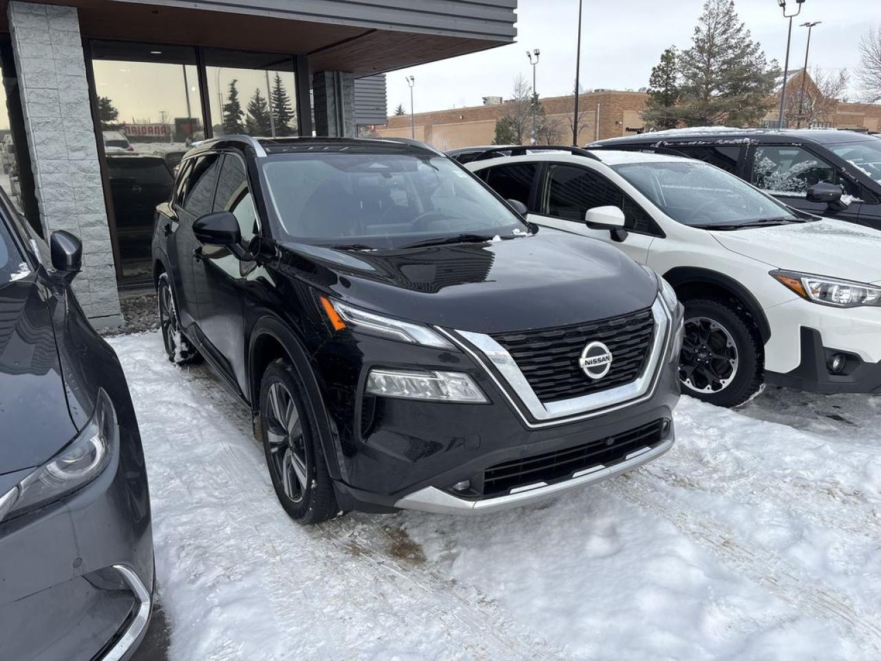 Used 2021 Nissan Rogue Platinum for sale in Sherwood Park, AB