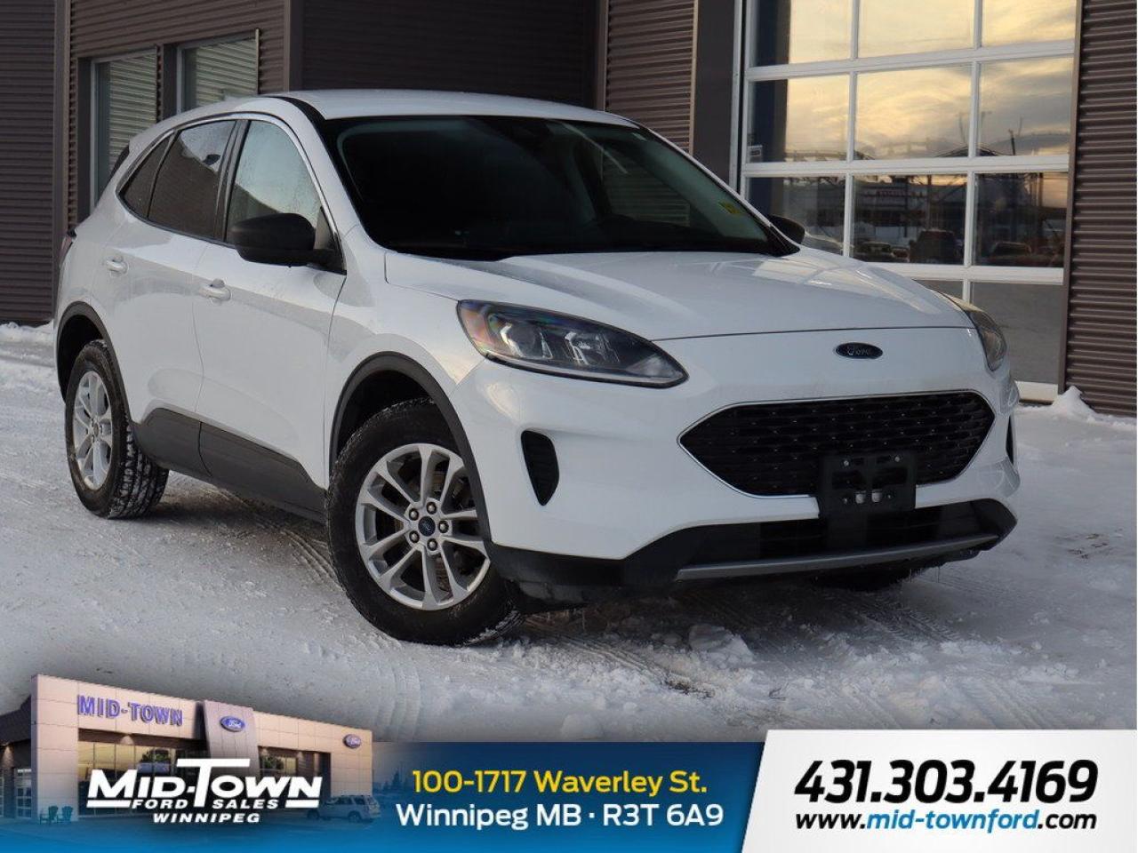 Used 2022 Ford Escape SE AWD for sale in Winnipeg, MB